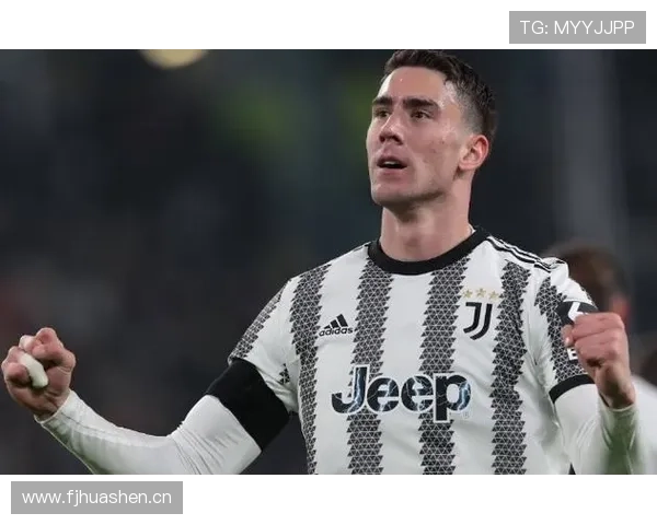 弗拉霍维奇巅峰期成长：从潜力中锋到亿元先生解析