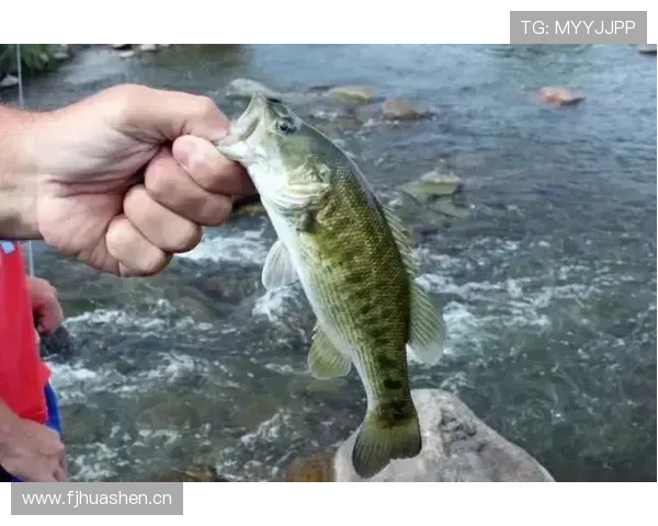 居莱尔 vs 德布劳内：传球创造力与进攻组织差距在哪